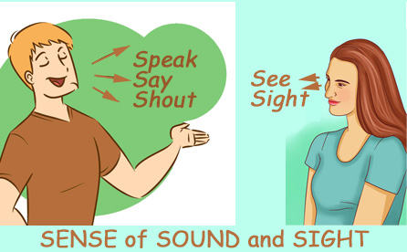 see-sound